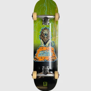 Wallstreet Complete Kids - Lion - 7.0"