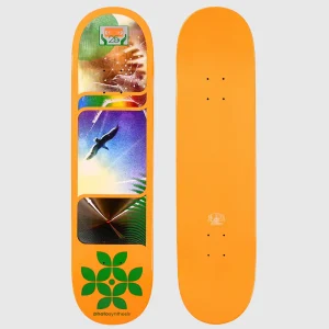 Alien Workshop Board - Photosynthesis - 8"